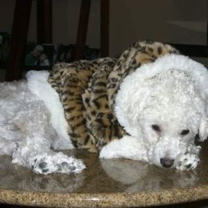 Meet your Posher, Connie